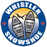 snowmobile whistler tour
